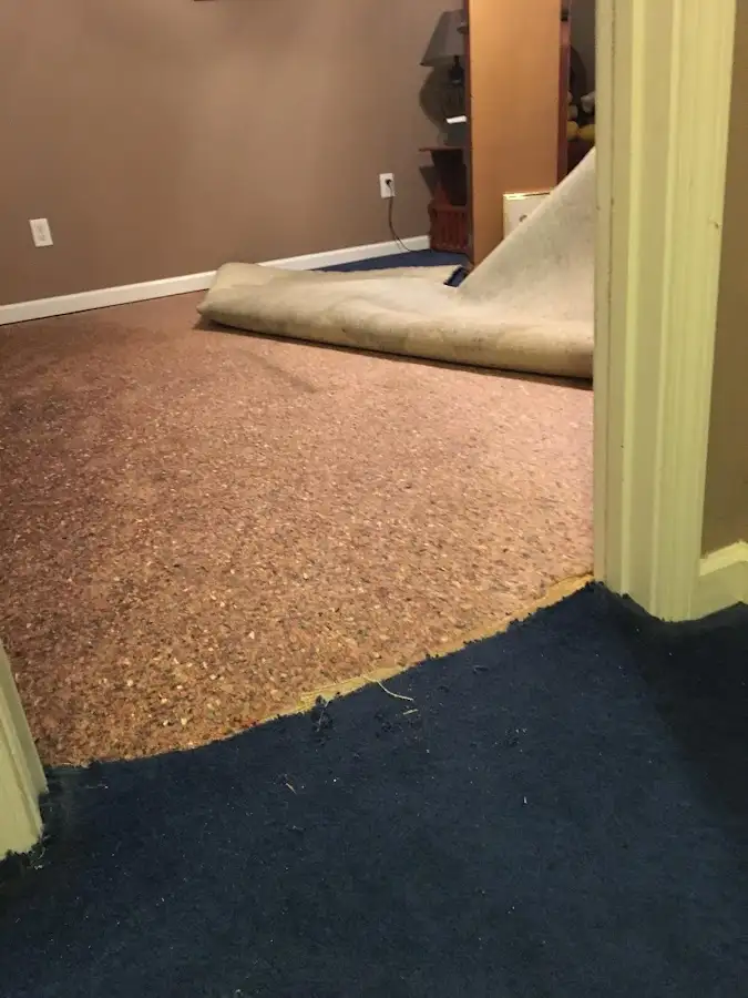 Carpet pad removal revealing water damage during Water Mitigation Services in Saugerties